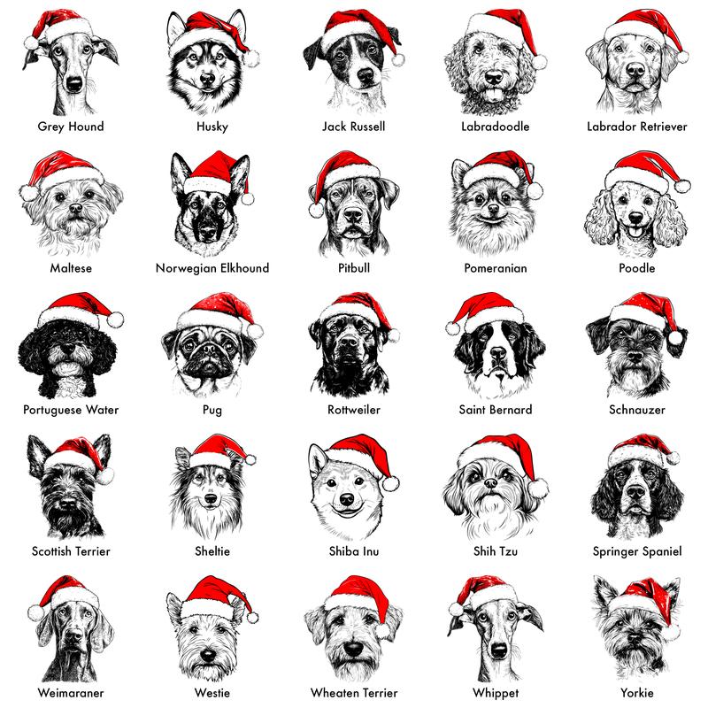 Santa Paws Christmas Dog Sweatshirt – 50 Dog Breeds in Festive Santa Hat