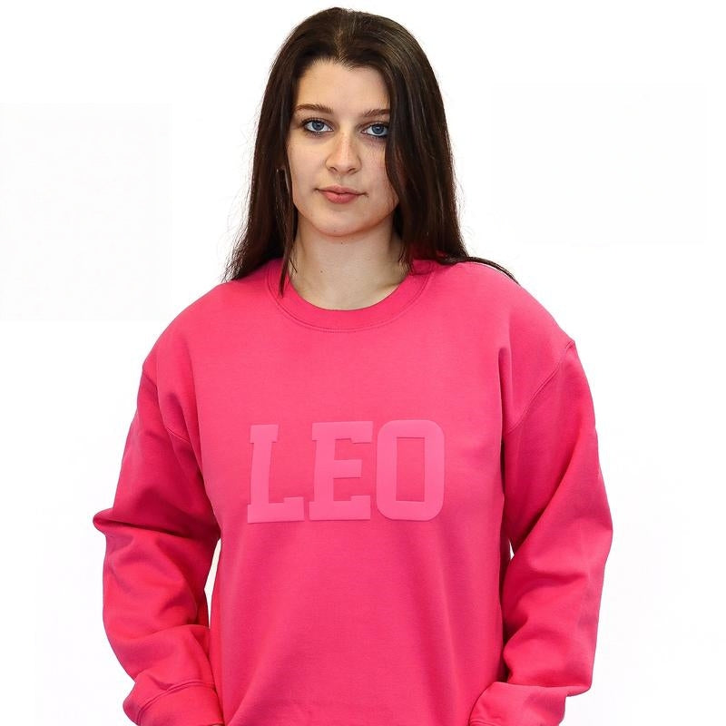 Zodiac Puff Print Top Unisex  Astrology Sweatshirt or Hoodie