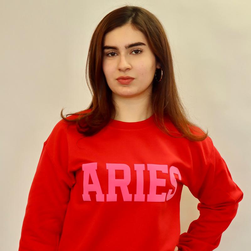 Sweatshirt: Valentine's Day Zodiac Puff Print (Limited Edition Red/Pink Combo) Astrology Apparel