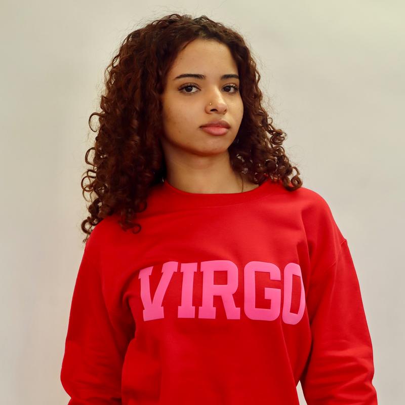 Sweatshirt: Valentine's Day Zodiac Puff Print (Limited Edition Red/Pink Combo) Astrology Apparel