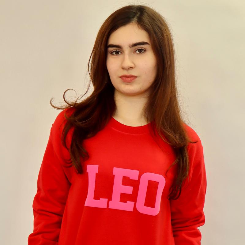 Sweatshirt: Valentine's Day Zodiac Puff Print (Limited Edition Red/Pink Combo) Astrology Apparel