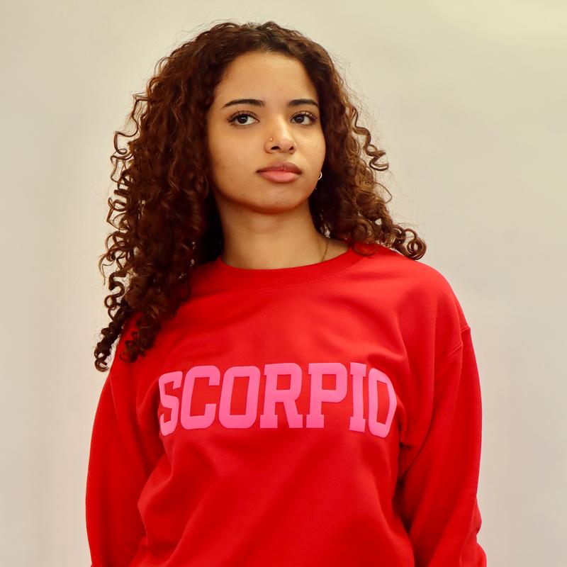 Sweatshirt: Valentine's Day Zodiac Puff Print (Limited Edition Red/Pink Combo) Astrology Apparel